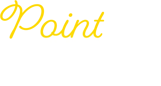 Point 01