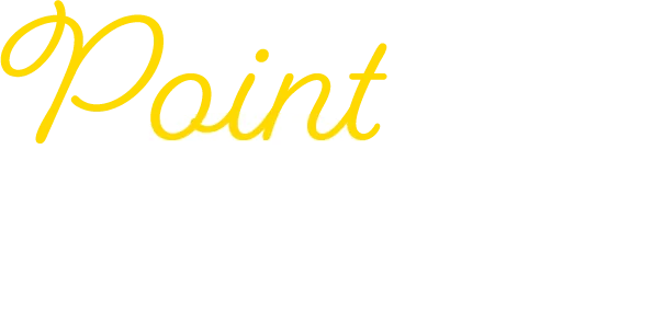 Point 03